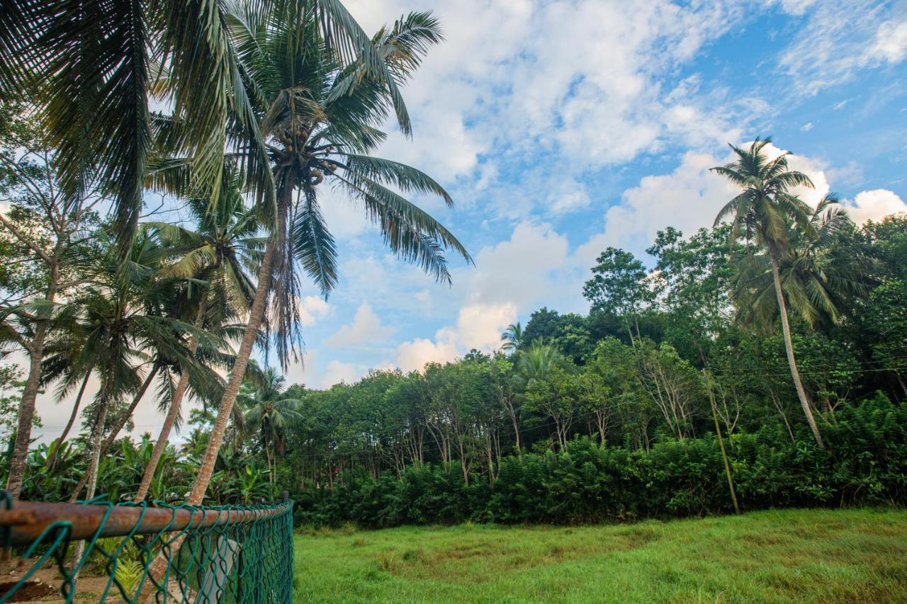 Greencliff Mirissa Villa Exterior photo